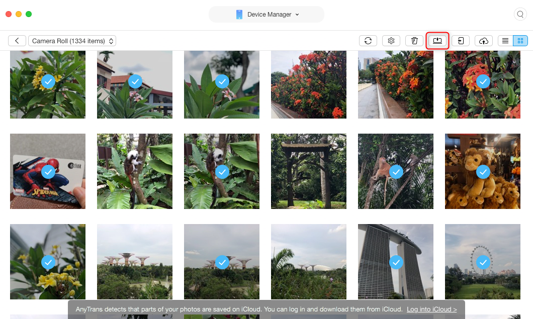 Copiare Foto da iPhone/iPad a Chiavetta USB