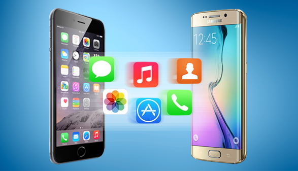 trasfer-2