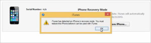 reset-iphone02