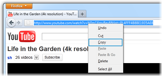 Alternativa a 4k Video Downloader