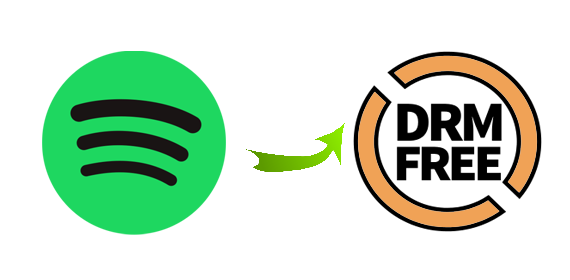 Come Rimuovere DRM da Musica Spotify