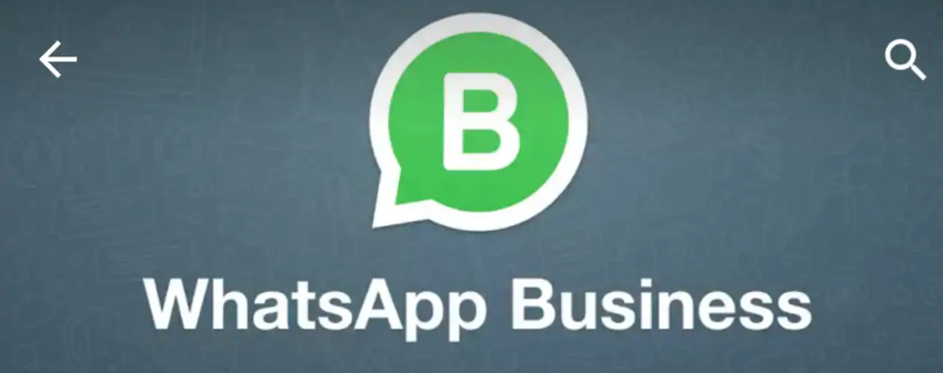 Whatsapp Business: Come si Usa? Conviene?