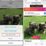 Come Salvare Foto Instagram su iPhone e iPad