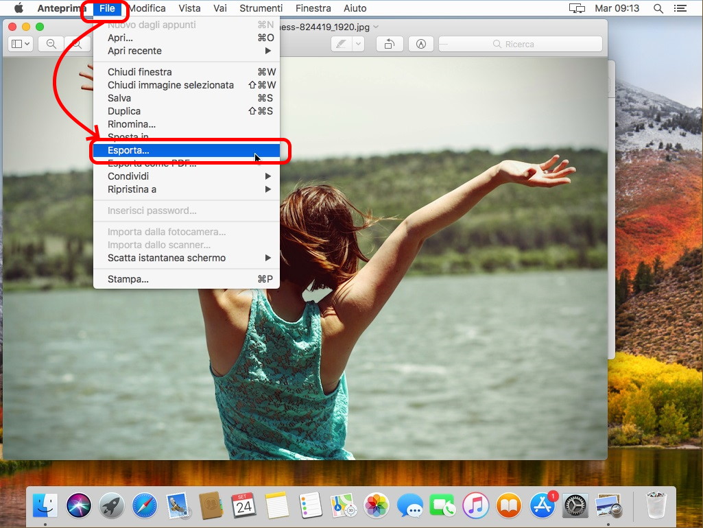 Convertire HEIC in PDF. Ecco le soluzioni