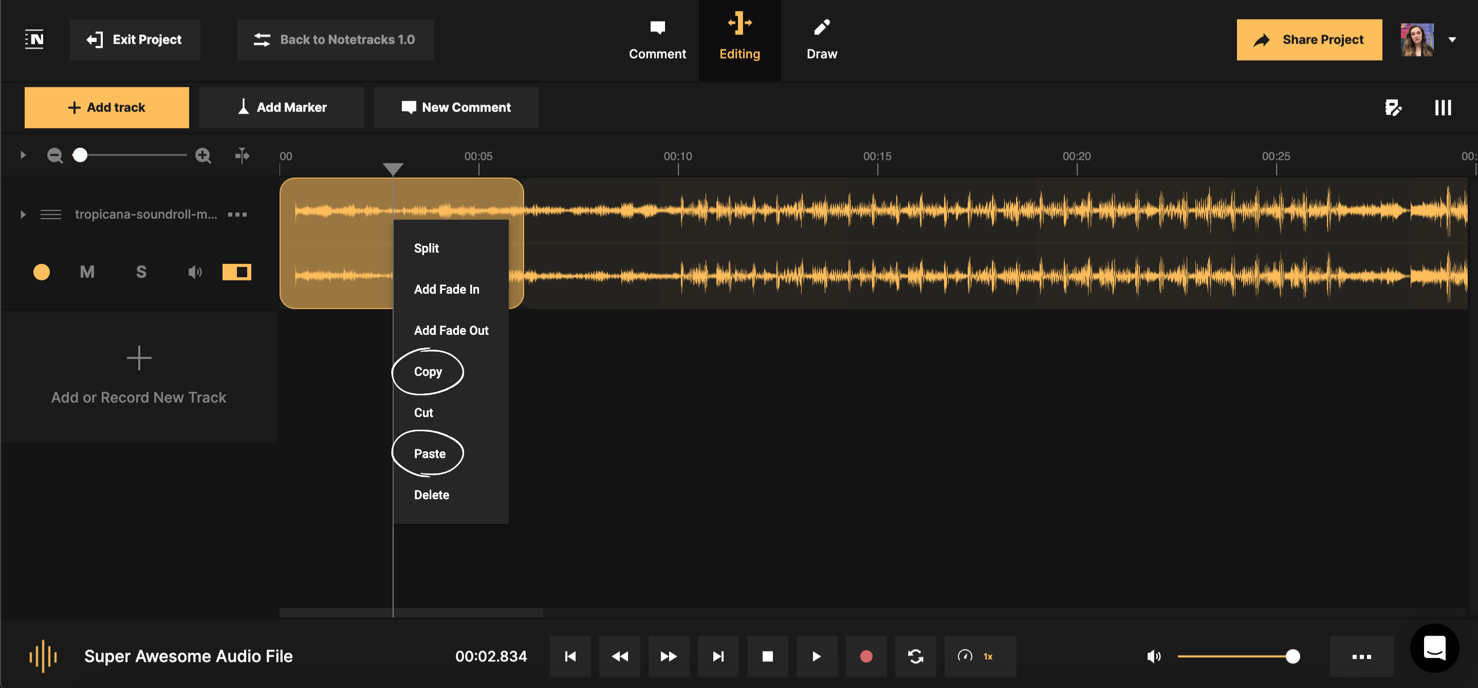 Modificare Traccia Audio di un Video